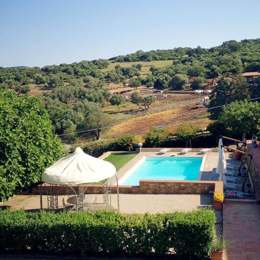 Fattoria Tolomei Campagnatico Экстерьер фото
