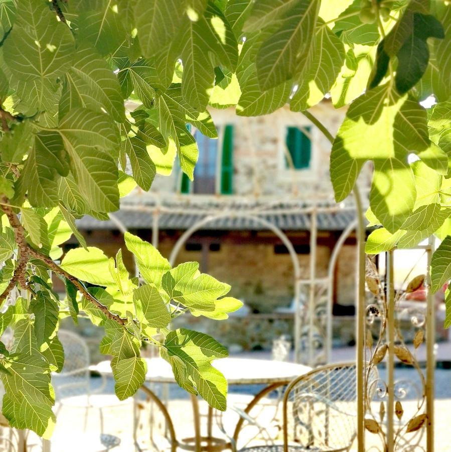 Fattoria Tolomei Campagnatico Экстерьер фото
