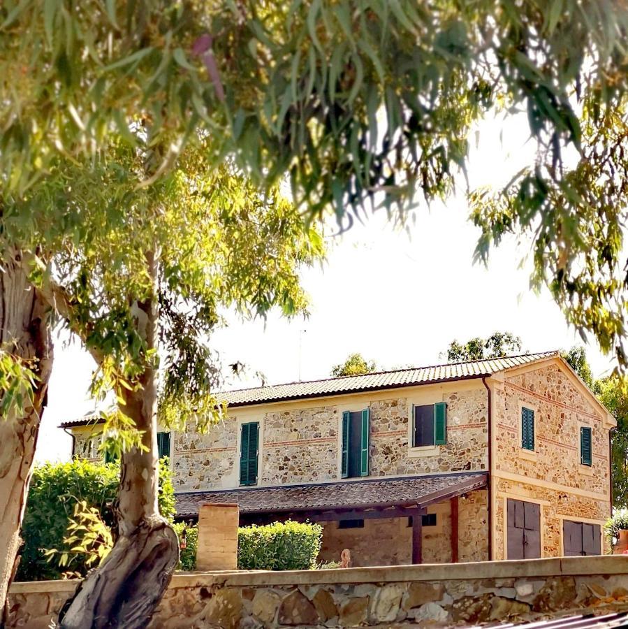 Fattoria Tolomei Campagnatico Экстерьер фото
