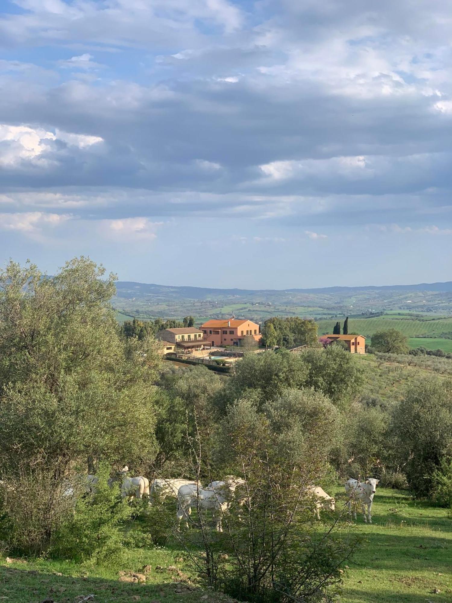 Fattoria Tolomei Campagnatico Экстерьер фото