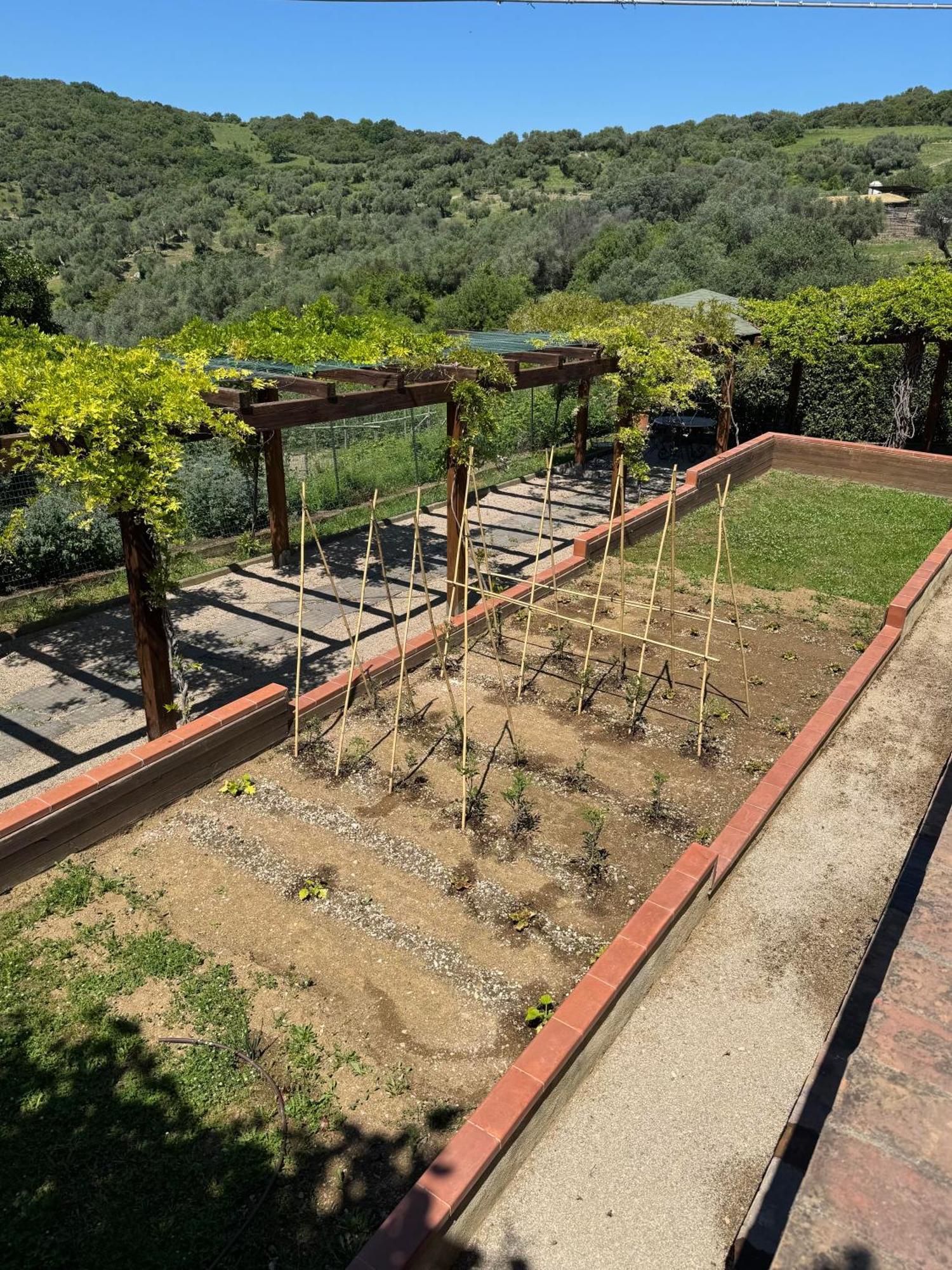 Fattoria Tolomei Campagnatico Экстерьер фото